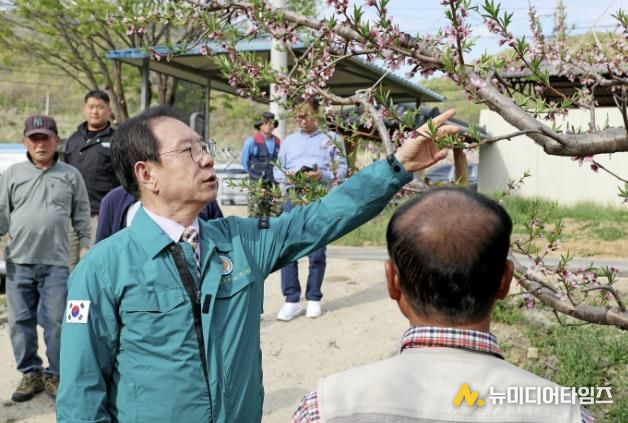 송인헌 괴산군수, 냉해 피해 농가 현장 방문