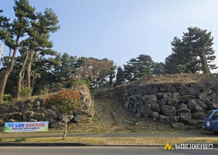 산림 경관 저해 덩굴류 제거