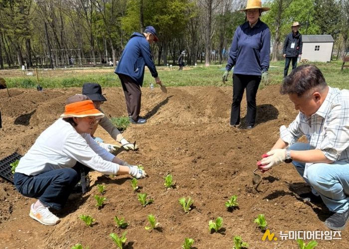 일산병원 일차의료개발센터 치유농업 프로그램에 참여해 모종을 심고 있는 참여자들