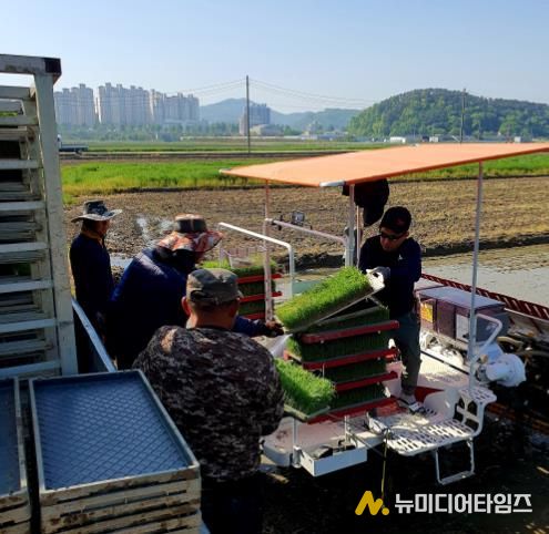 공주시, 올해 첫 모내기 실시…본격 영농철 돌입