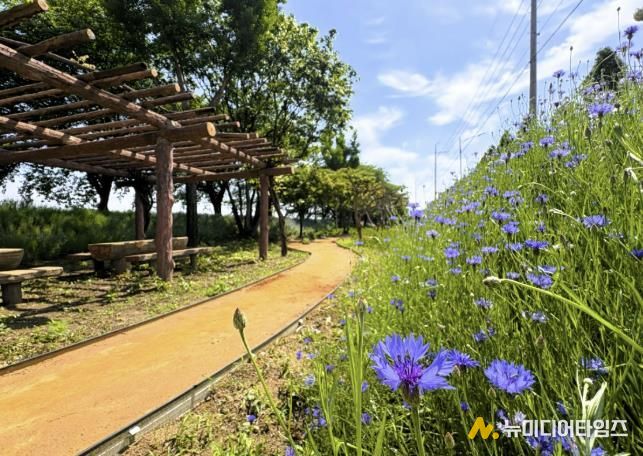 상주시, 전국 최초 '정원형 어싱길' 조성...식물로 치유하는 힐링공간 탄생