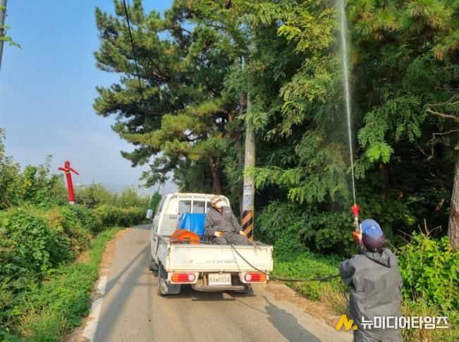 강화군 불은면, 돌발 해충 집중 방제 “작전 개시!”