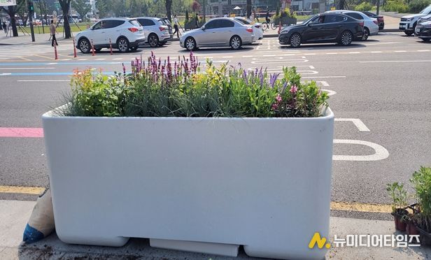 화분 식재 모습