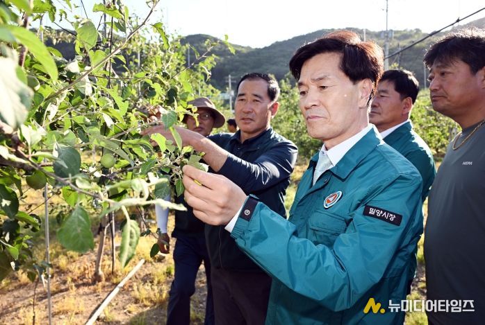 안병구 밀양시장이 4일 산내면 사과 재배 농가를 방문해 우박 피해 상태를 살피고 있다.