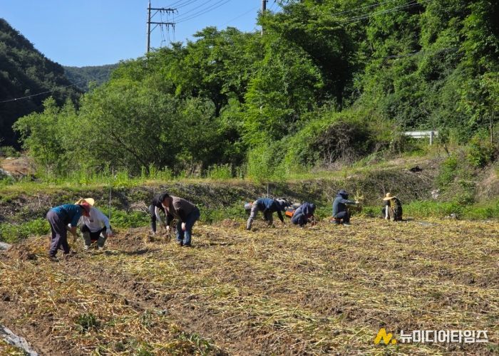 환경사업소, 농촌 일손돕기 실시