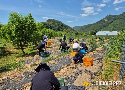 기술보급과_농촌일손돕기