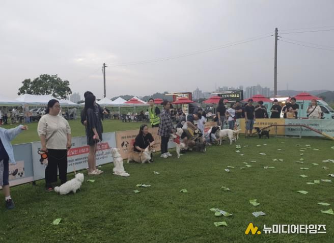 '우리동네 개체능' 현장