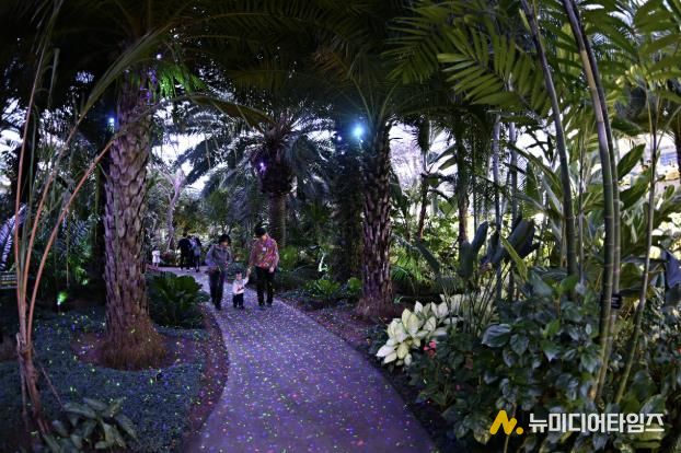 부천호수식물원 수피아에서 시민들이 야간 개장을 즐기고 있다.