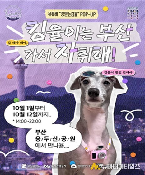 용두산공원에서 '별바다부산 나이트 팝업' 시즌2 개최