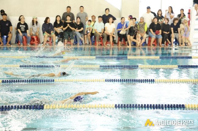 수영대회