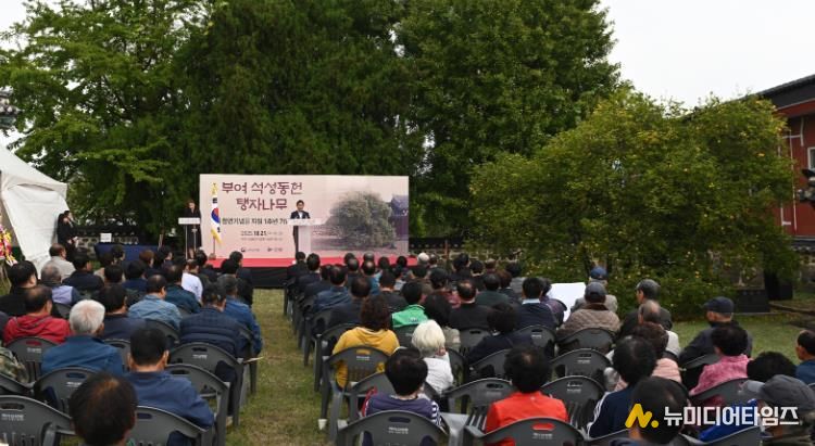 부여 석성동헌 탱자나무 천연기념물 지정 1주년 기념행사