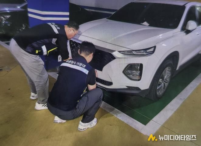 번호판 영치 사진