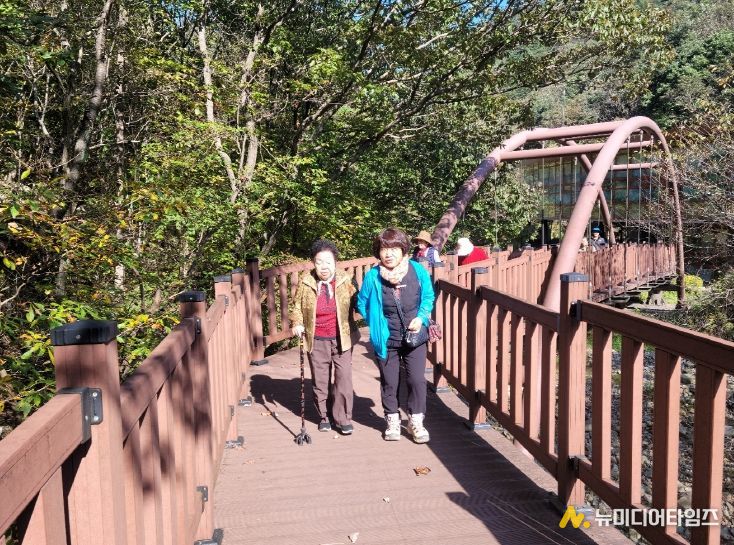 금산산림문화타운 무장애나눔길