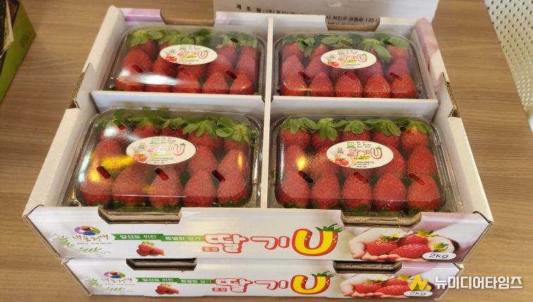 달콤한 시작은 홍성에서...홍성딸기 가락시장 데뷔!