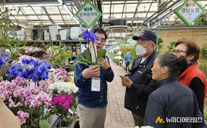 ‘양재동 꽃시장’ 현장 체험 사진