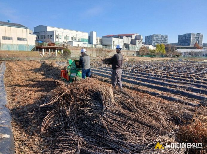 1. 천안시농업기술센터 영농부산물 파쇄지원단이 농가에 방문해 파쇄 작업을 진행하고 있다.
