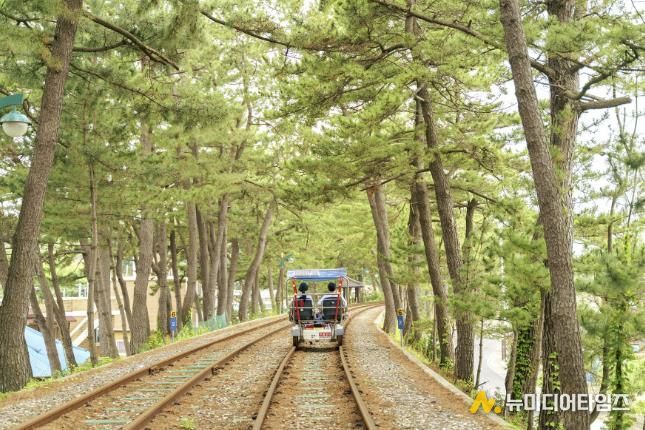 해양레일바이크