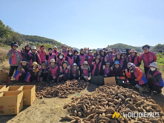 생활개선회와 ‘사랑의 고구마’나눔으로 온정