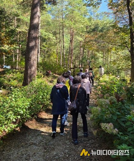 태백시, 치매환자·보호자 야외치유 프로그램 운영
