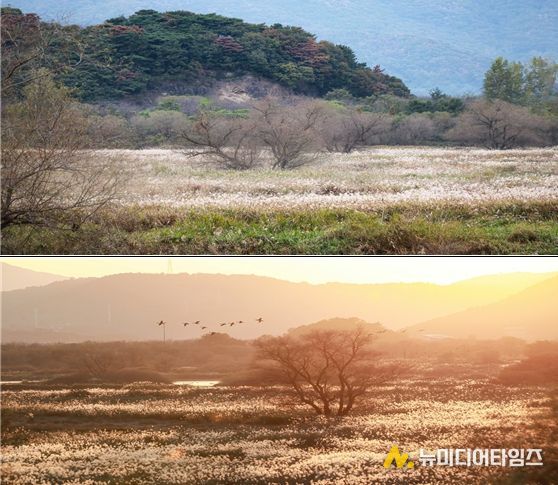 화포 조명훈 사진가