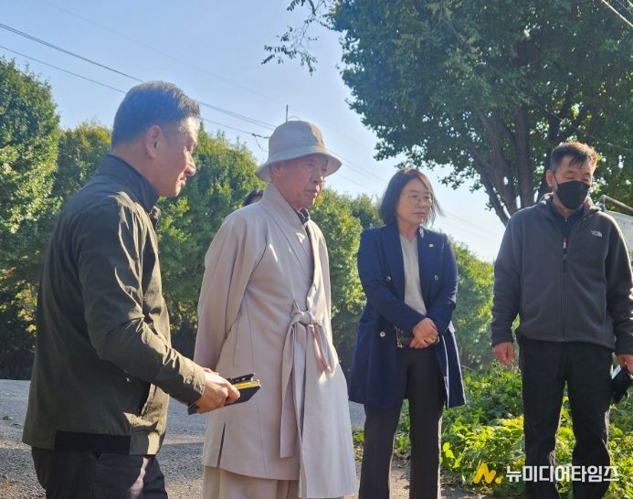 가좌동 빌라 위협하는 대형 나무 현장 점검