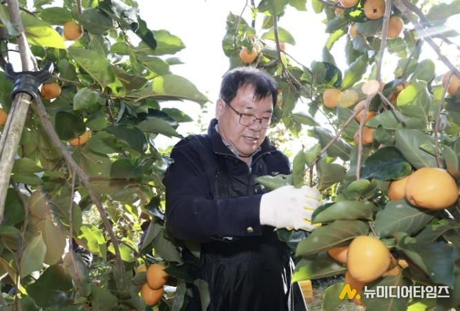 산청군, 농촌 일손 돕기 '구슬땀'