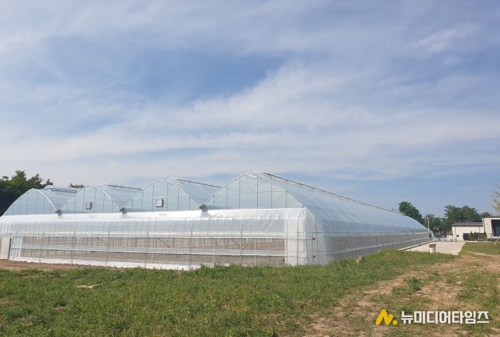 내재해형 비닐하우스