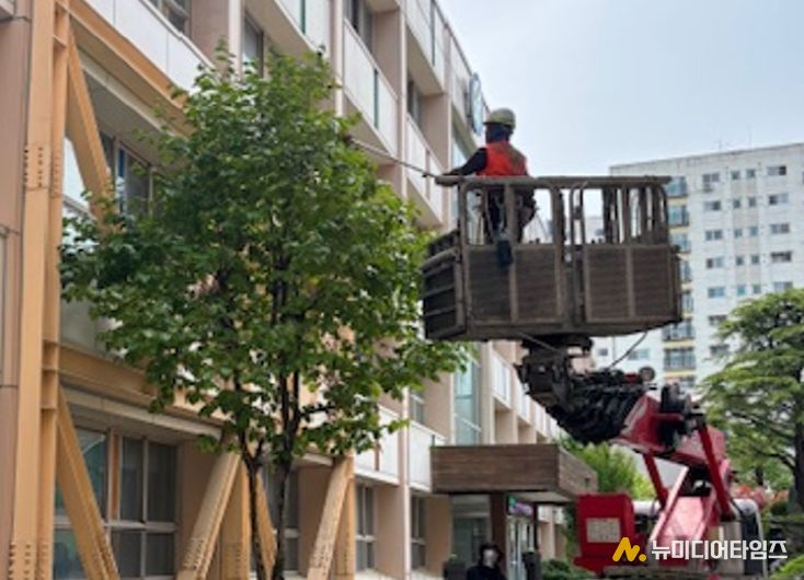 261개교 수목관리 사업