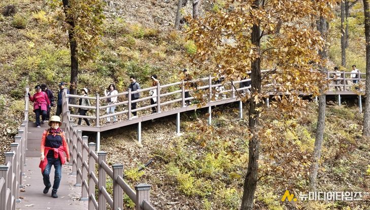 보은군, 단풍길 따라 힐링걷기‘속리산 둘레길 걷기 축제’ 성황리 마무리