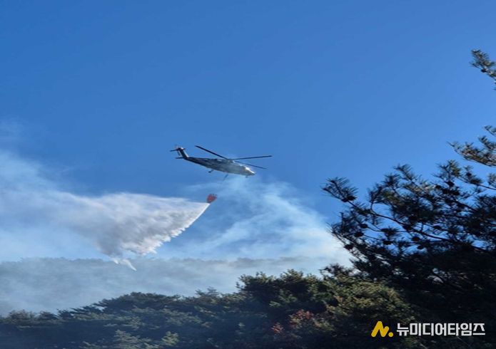산불 진화 현장 사진