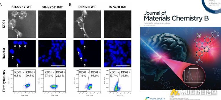 한국뇌硏·덕성여대와 신경줄기세포 탐지 형광 프로브 개발