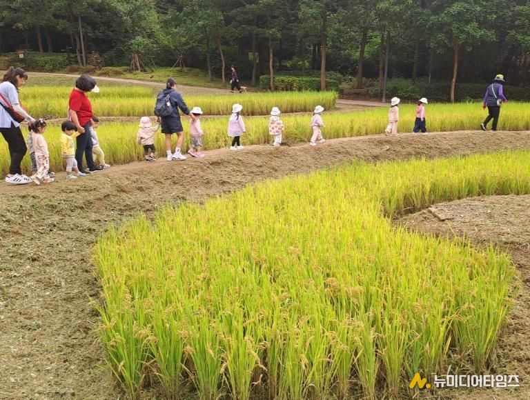 다랭이논 현황사진