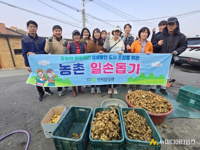 청주시 인사담당관, 김장철 맞아 생강 농가 일손 돕기