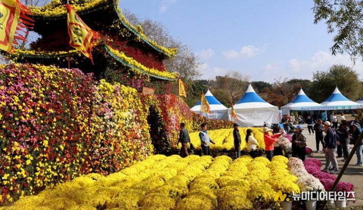 제22회 백제고도부여국화축제
