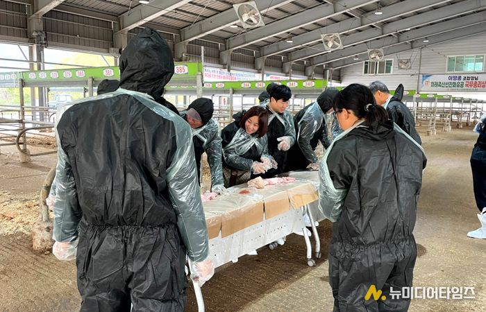 영암농업대학생, 한우 인공수정 실습 교육 받아