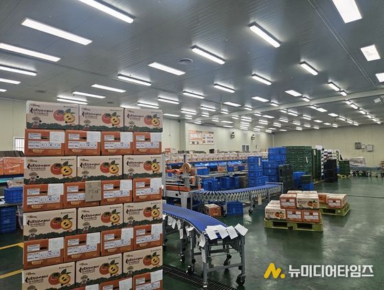 김해시 진영단감, 농수산물 온라인도매시장 특화상품 선정