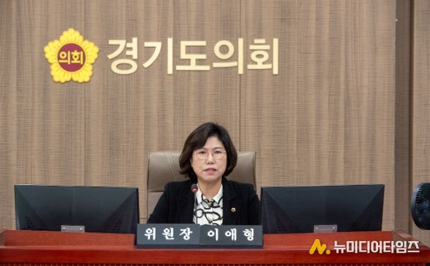 경기도의회 이애형 의원