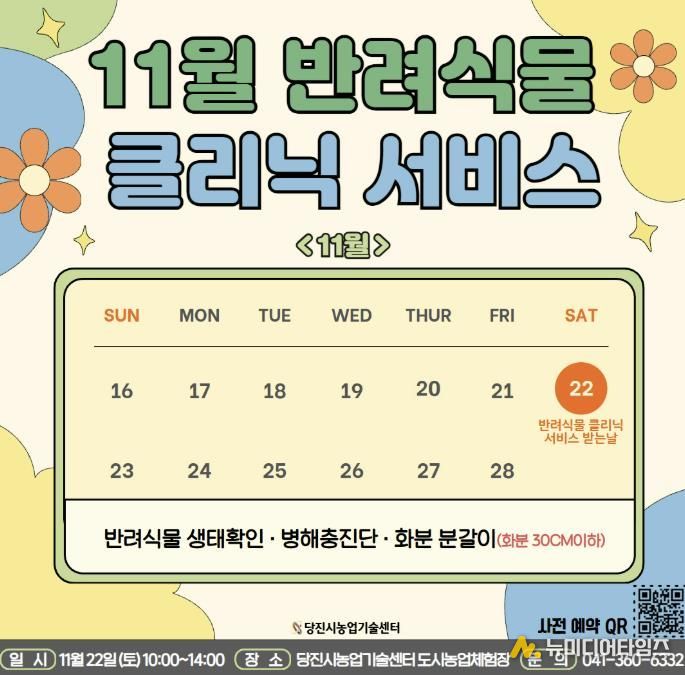 11월 반려식물 클리닉 카드뉴스