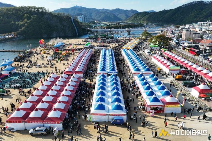 제19회 청송사과축제