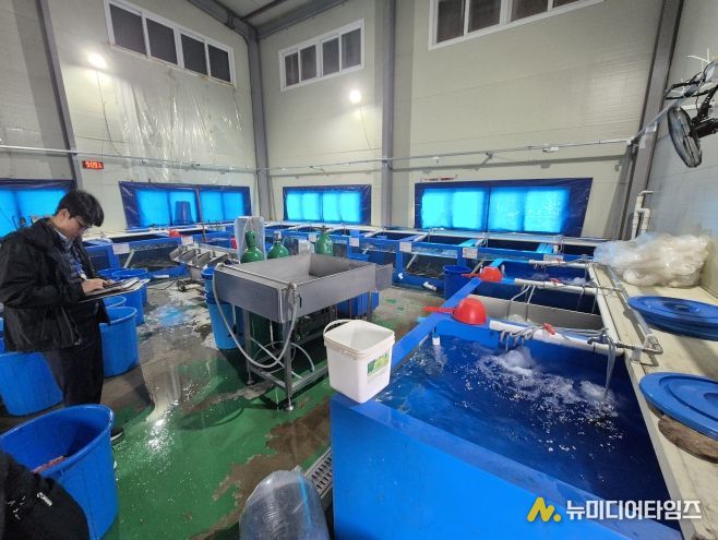 국내산 민물장어로 둔갑된 중국산 장어 현황판을 확인 중인 중부해경과 수품원 공무원