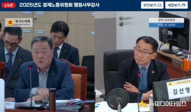 경기도의회 김선영 의원