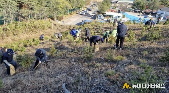 18일 안산시 백운공원에서 열린 비료시비 행사에서 참여자들이 고형복합비료 시비 활동을 진행하고 있다.