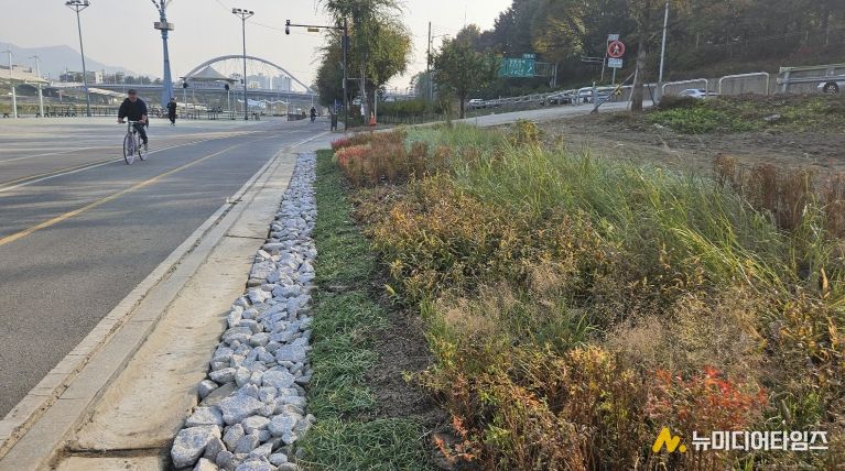 중랑천 이화교 일대에 조성된 그라스원