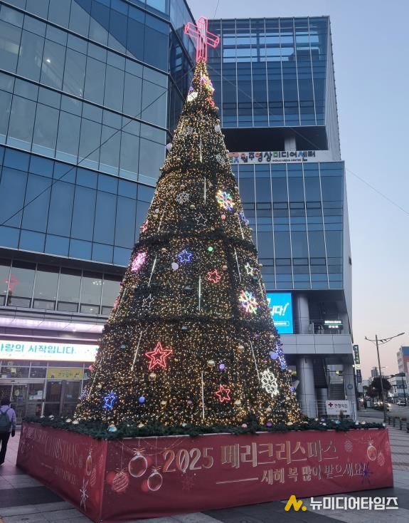 성탄 트리 사진