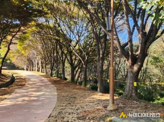 보행로 보수 후