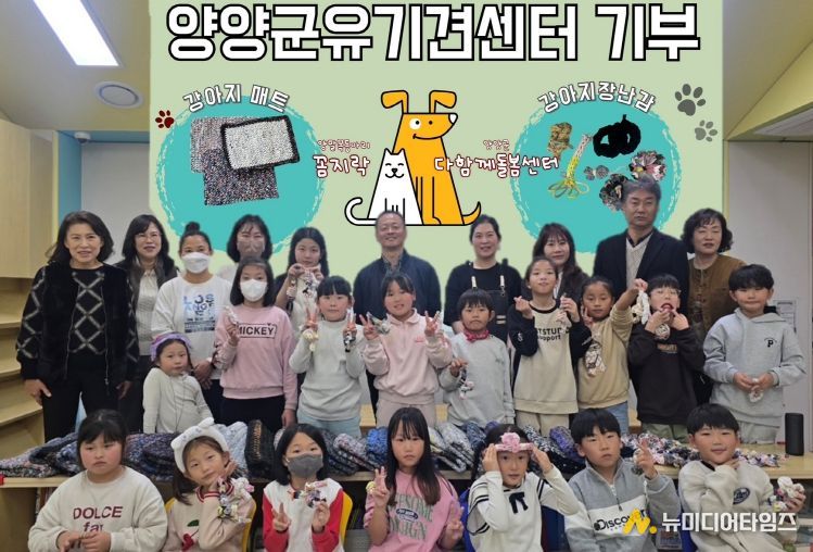 다함께돌봄센터 유기견 매트, 장난감 전달