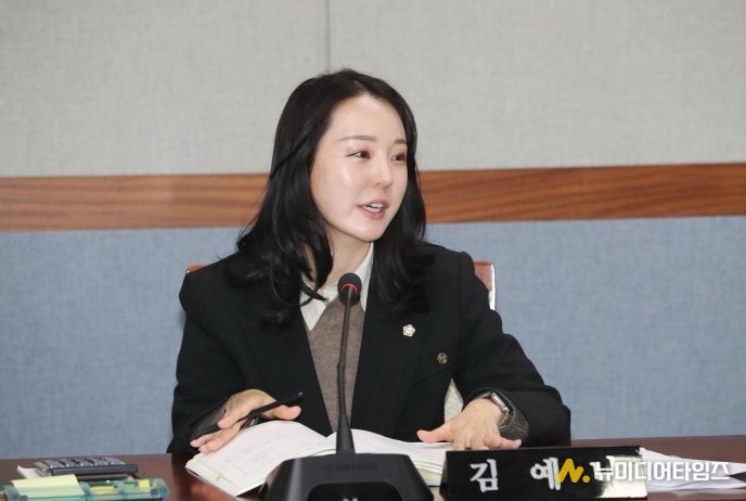 김예나 남구의원