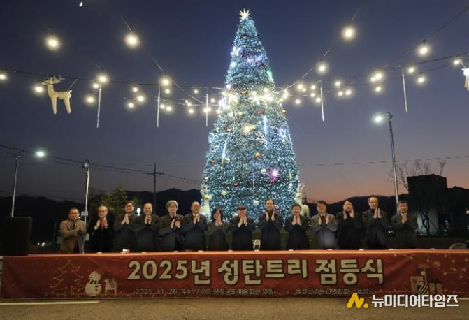음성군, 음성문화예술회관에 성탄 트리 점등