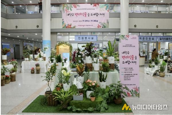 2025년 반려식물 전시회 개최 사진