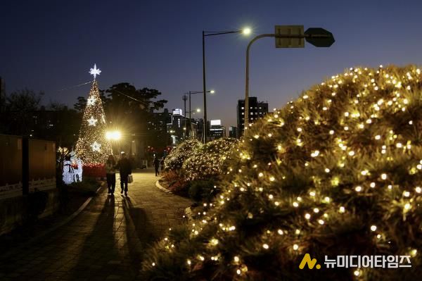 방학사계광장을 밝히고 있는 크리스마스 트리